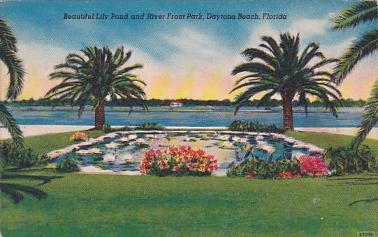 Florida Daytona Beach Beautiful Lily Pond And River Front Park 1955