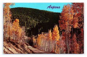 Colorful Aspens Of The Southwest Rocky Mountain Region Postcard