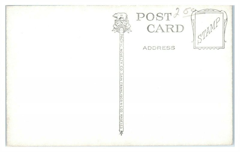 Old Mill, Mill Valley, Marin County, CA Postcard *6L(3)10