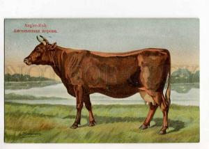 270037 RUSSIAN BUNGART Angler cow Vintage BAGGOVUT postcard