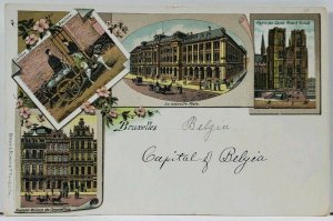 Belgium Brussels Multi View Vignette c1900 Postcard L7