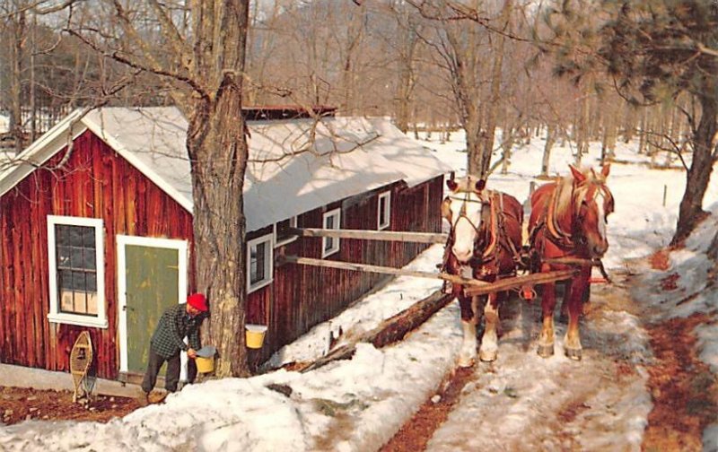 Horse Drawn Sap Gathering Tank Unused 