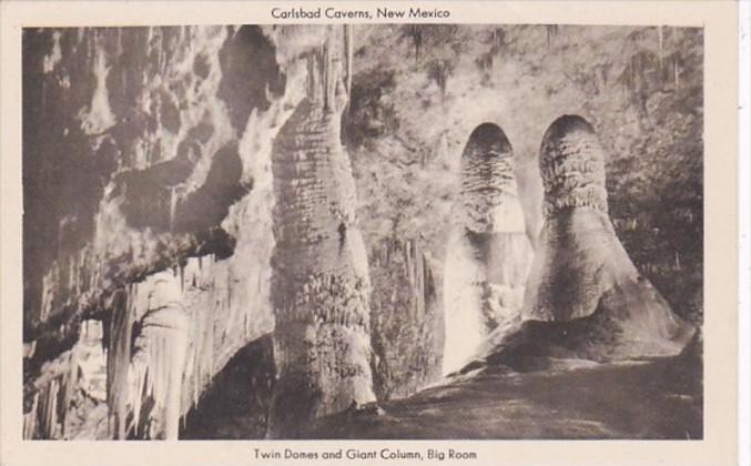 New Mexico Carlsbad Caverns Twin Domes and Giant Column In Big Room