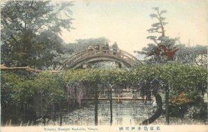 Japan C-1910 hand colored Wisteria Blossom Tokyo Postcard 22-8289 