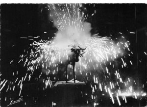 Lot148  bull of fire réjouissance populaire pays basque spain real photo festiva