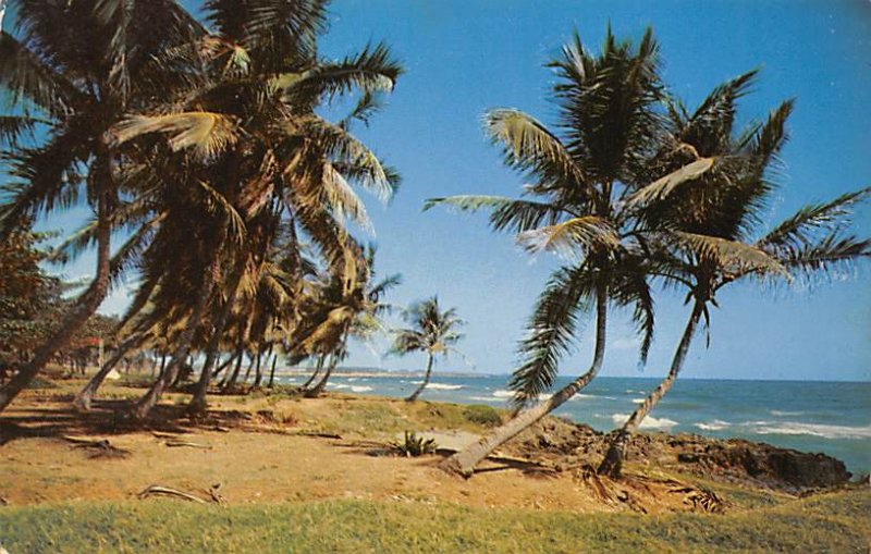 Palm Fringed Coast Dominican Republic Unused 