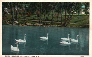 Vintage Postcard 1931 Scenic View of Swans On Sunset Lake Asbury Park New Jersey