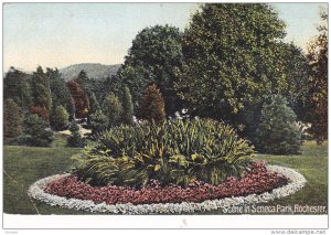 Scene in Seneca Park, Rochester, New York, PU-1907