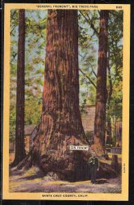 California - Santa Cruz County (USVC 0161)