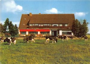 BG10435 cow vache cafe sonnenschein bad oeynhausen types   germany