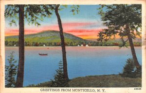 Greetings from Monticello Looking East New York  