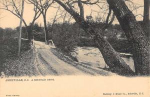 Asheville North Carolina Mountain Drive Scenic View Antique Postcard K56223