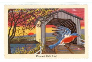 Birds - Missouri State Bird, Bluebird