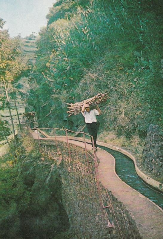 Madeira Sugar Cane Worker Transport Funchal Spanish Crafts Postcard