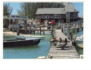 New Pass, Sarasota, Florida, Live Bait, Ice, Food Signs, Dock