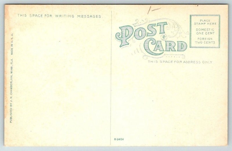 Miami  Florida  12th Street   Postcard