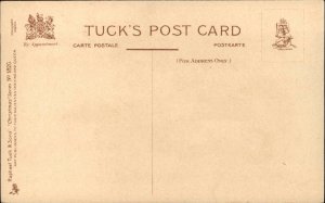 Tuck Christmas #1820 Fancy Boy & Girl c1910 Postcard #2