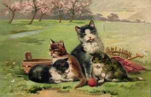 PC CATS, FOUR CATS PLAYING IN A FIELD, Vintage EMBOSSED Postcard (b47052)