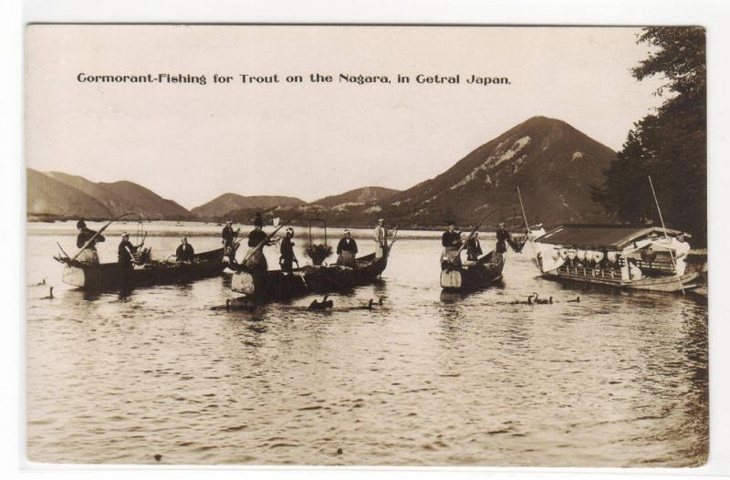 Cormorant Fishing for Trout Boats Nagara central Japan RPPC real photo postcard