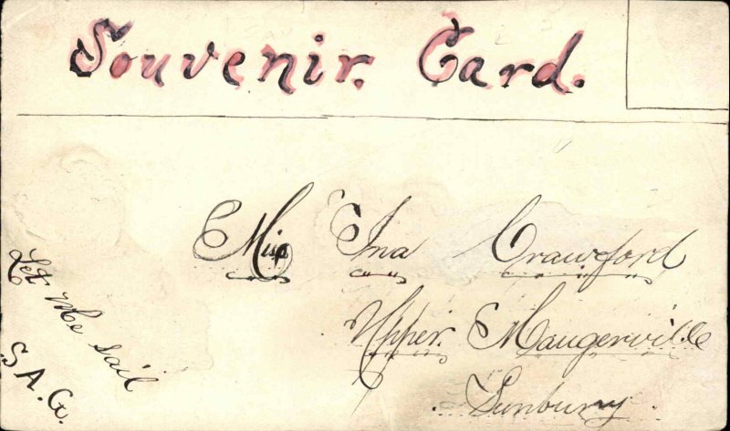 Handmade Inset Views Hand Painted Vines St. John? c1910 Postcard