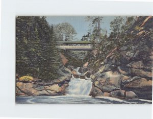 Postcard The Pool And Sentinel Pine Bridge, The Flume, Franconia Notch, N. H.