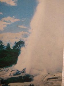 Postcard - Pohutu geyser leaps high - Rotorua, New Zealand