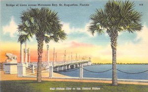 Bridge of Lions Across Matanzas Bay Oldest City in the United States St Augus...