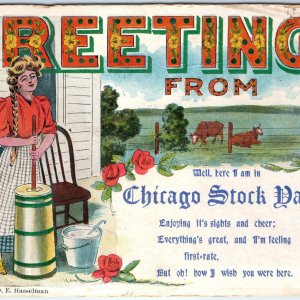 1908 Chicago IL Greetings from Stock Yards Hasselman Poem Postcard Tradwife A115