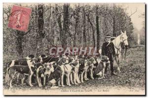 Hunting Hounds Center - dogs - Hunting dogs - Old Postcard