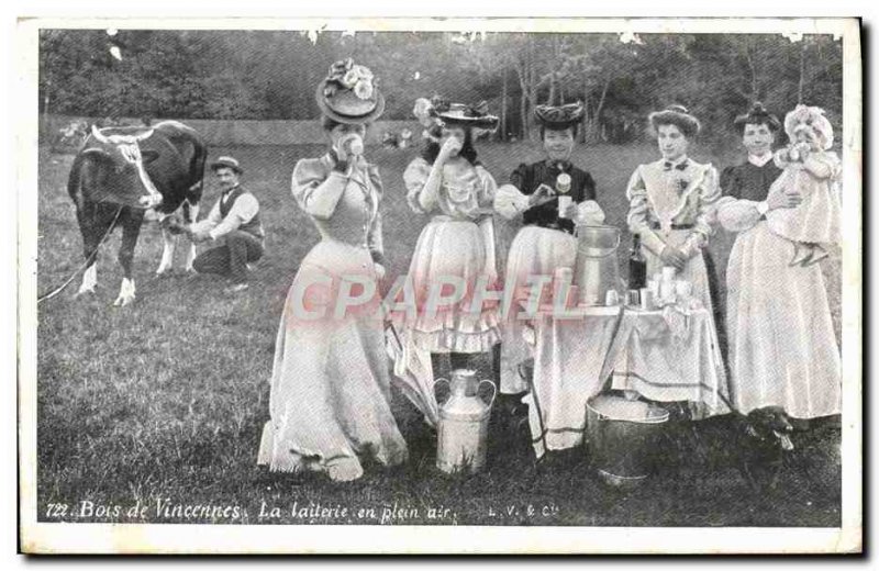 Old Postcard Folklore Bois de Vincennes The outdoor Dairy Cow Women