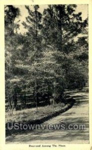 Dogwood Trees in Wildwood, New Jersey