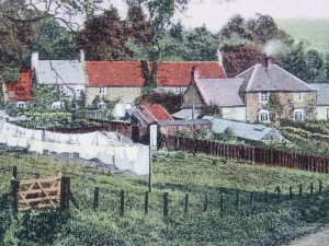 County Durham RAVENSWORTH Lady Park BANESLEY LANE c1908 Postcard by Dickinson