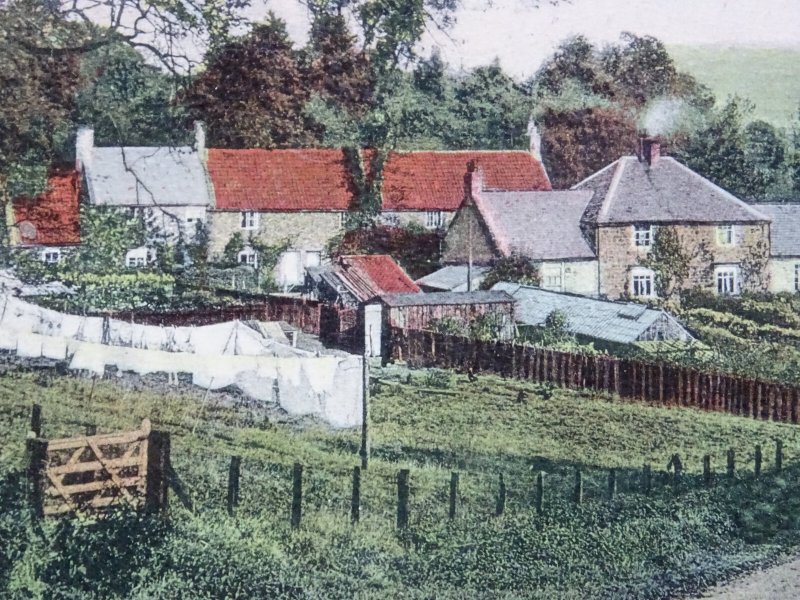 County Durham RAVENSWORTH Lady Park BANESLEY LANE c1908 Postcard by Dickinson