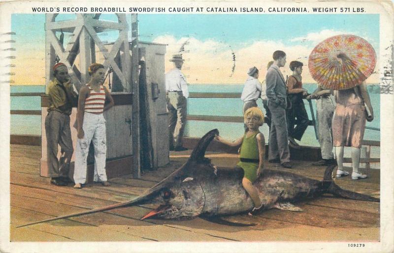 World`s Record Broadbill Swordfish caught at Catalina Island California