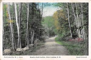 BR101760 road to red gables new london n h  usa