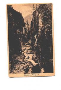 Capilano Canyon 1927, British Columbia