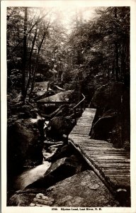 Vtg Lost River New Hampshire NH Elysian Land RPPC Real Photo Postcard