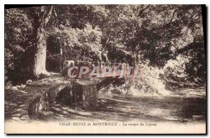 Old Postcard Chartreuse Montrieux The river of Capeau