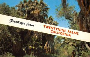 Twntynine Palms California Scenic Greeting Vintage Postcard K79828