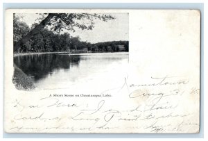 1905 A Shore Scene on Chautauqua Lake NY, Paxton IL PMC Posted Postcard