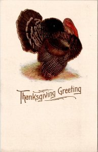 Thanksgiving Beautiful Turkey Embossed Gilded c1906 Postcard W19