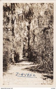 RP; Scenic Trail, Nature's Giant FIsh Bowl, HOMOSASSA SPRINGS, Florida, 1952