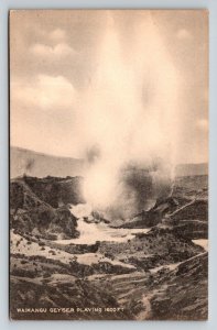 Waimangu Geyser  New Zealand    Postcard