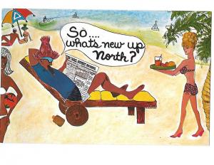 So What's New Up North?  Isn't Florida Wonderful Comic