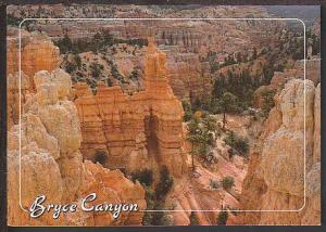 Bryce Canyon National Park UT Postcard BIN