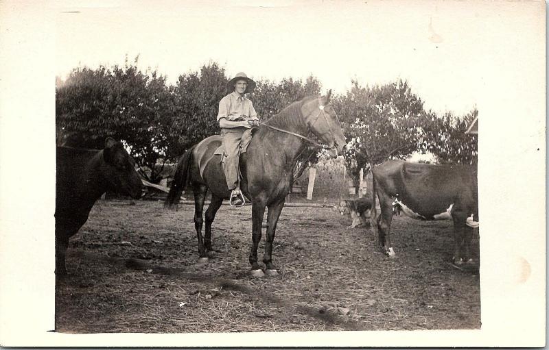 RPPC IL Man Horseback Cows Dog Farm Life Real Photo Postcard 