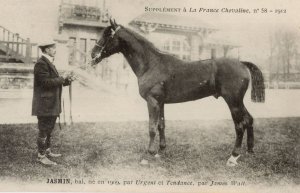 Jasmin La France Chevaline 1909 Race Horse Antique PB Postcard