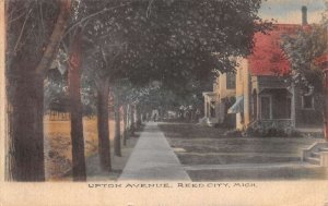 Reed City Michigan Upton Avenue Residential Street Scene Postcard AA65500 