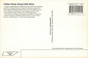 Postcard Head along Little River Tennessee Unposted VPC8.