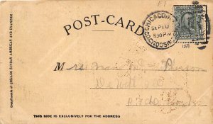 Gracious me! Donkey stealing pies Novelty PU 1906 